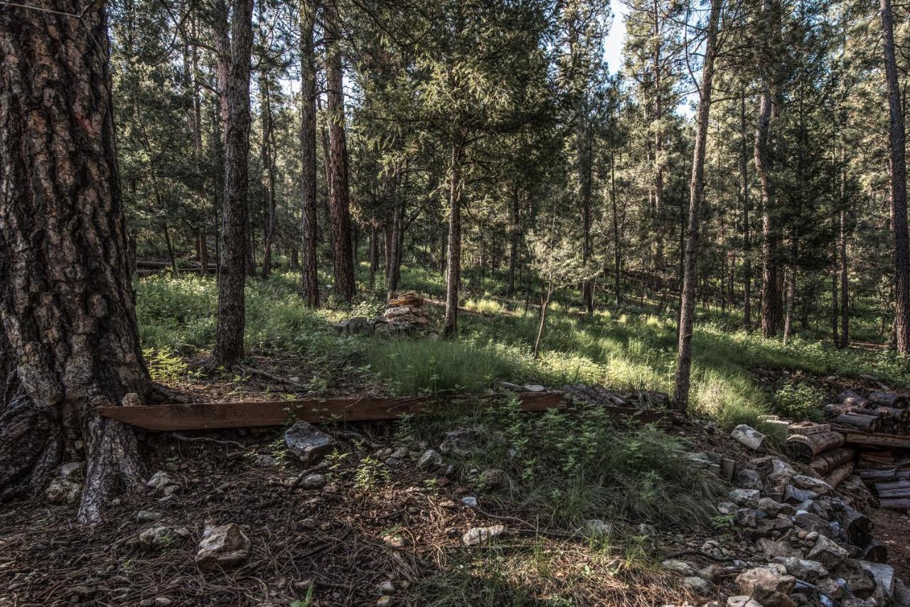 Rockinn Pines Руидозо Экстерьер фото